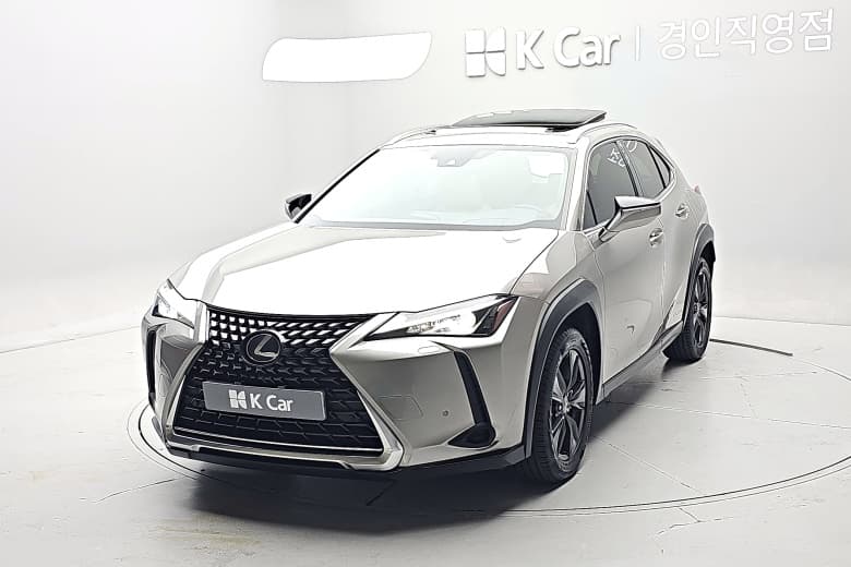 Lexus UX250h, 2019
