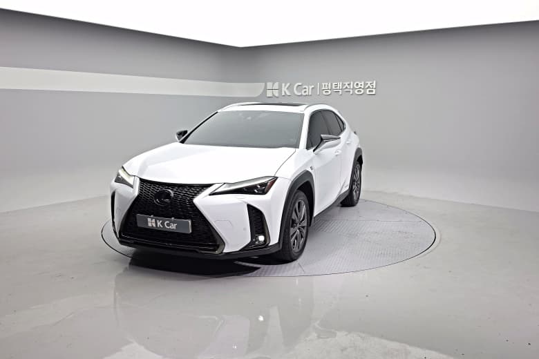 Lexus UX250h, 2020