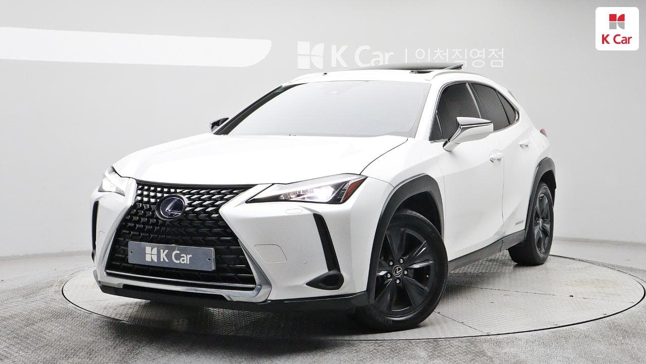 Lexus UX250h, 2019